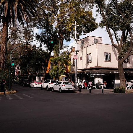 Modern Studio, Rooftop Charm, Cdmx Center2 Meksika Dış mekan fotoğraf