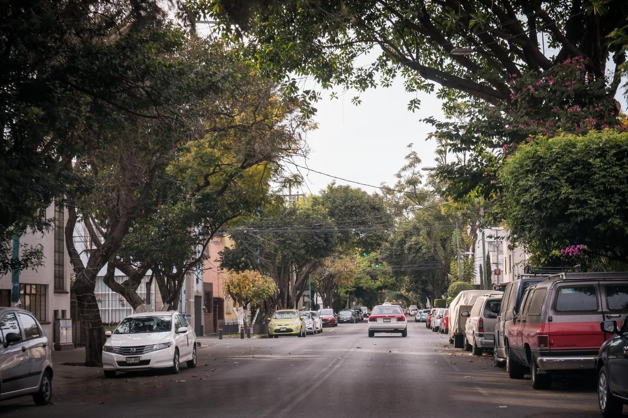 Modern Studio, Rooftop Charm, Cdmx Center2 Meksika Dış mekan fotoğraf